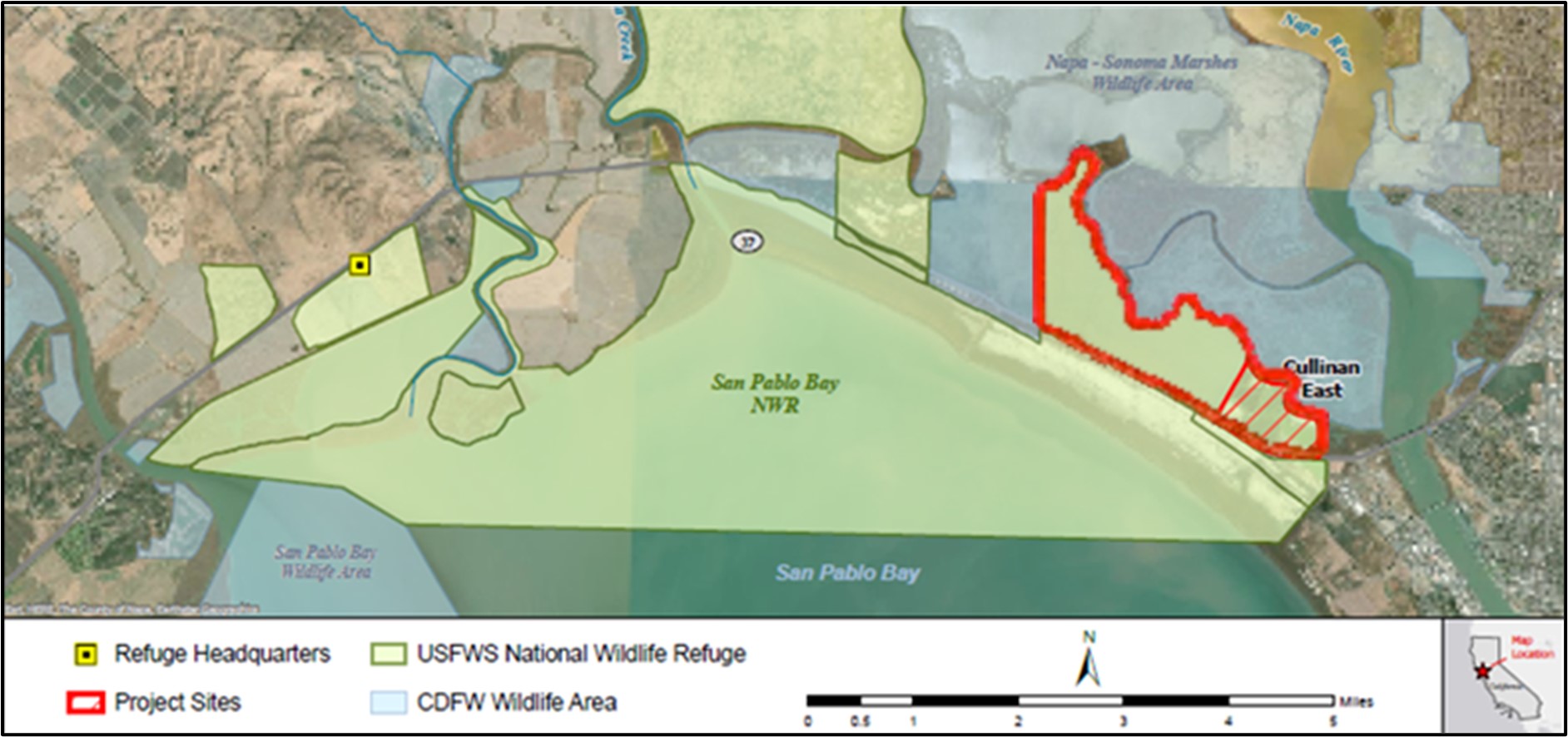 Graphic illustration of brown land, in San Pablo Bay with the project area highlighted in red. 